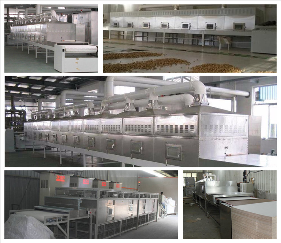chemical modify starch continuous belt microwave drying machine / food microwave tunnel dryer