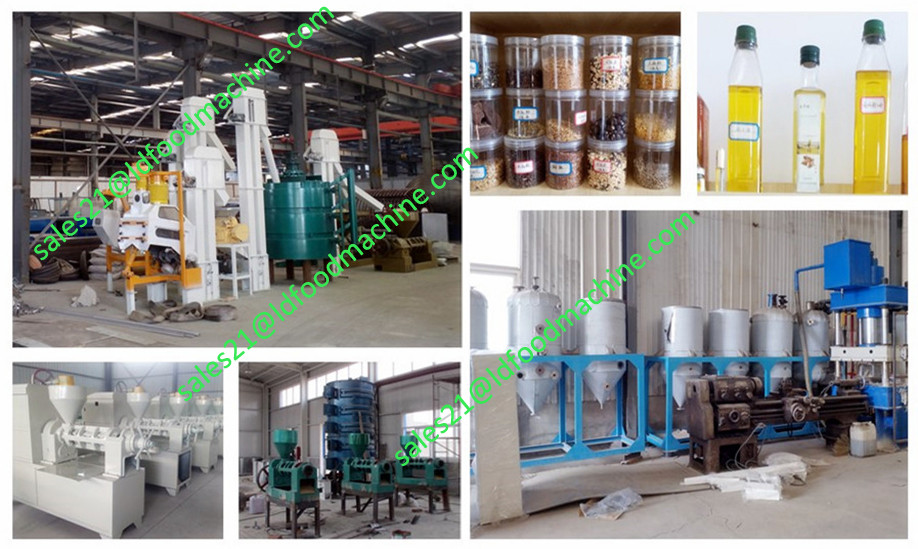 Large scale maize milling equipment / 100TPD maize flour mill
