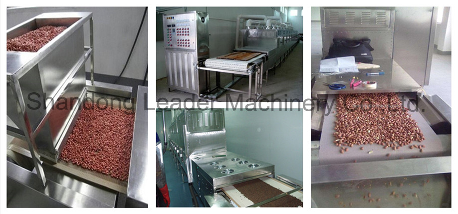 Tunnel microwave nutmeg drying and sterilizing machine