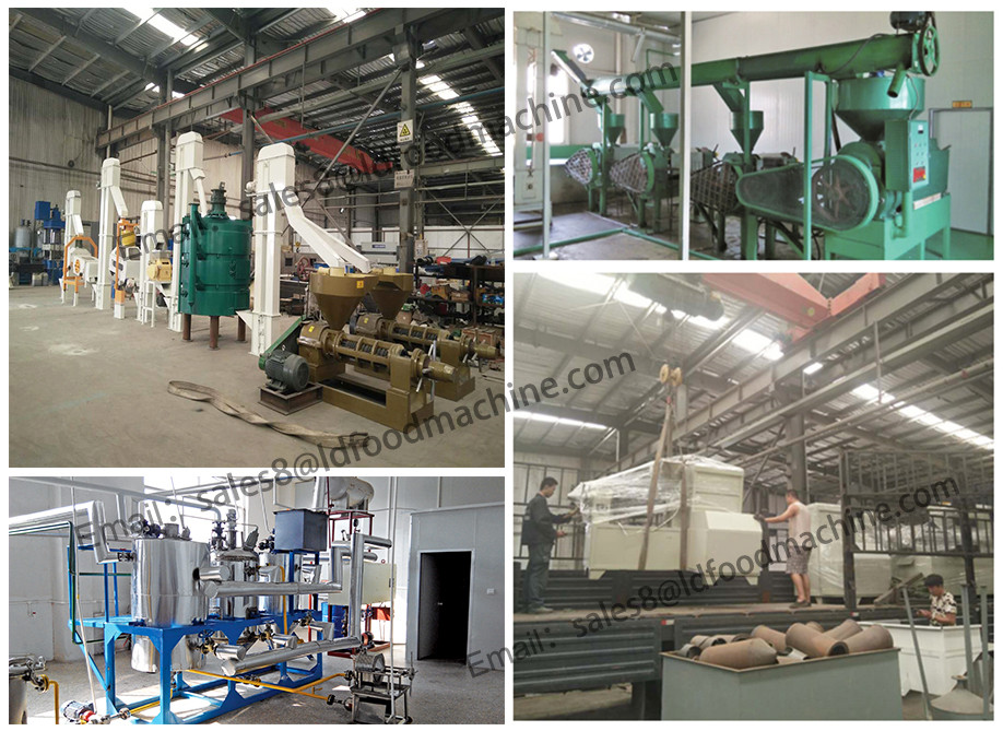 1tpd-10tpd spiral oil press in Shandong