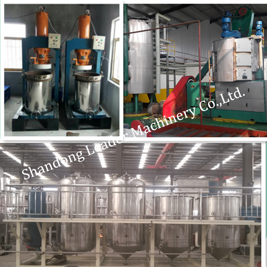 oil screw press machine best use oil refinery plant from Sinoder company in China