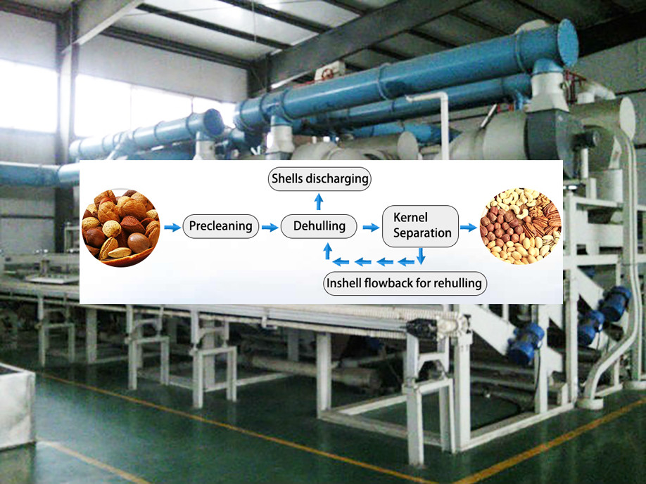 Almond Processing machine DTJ