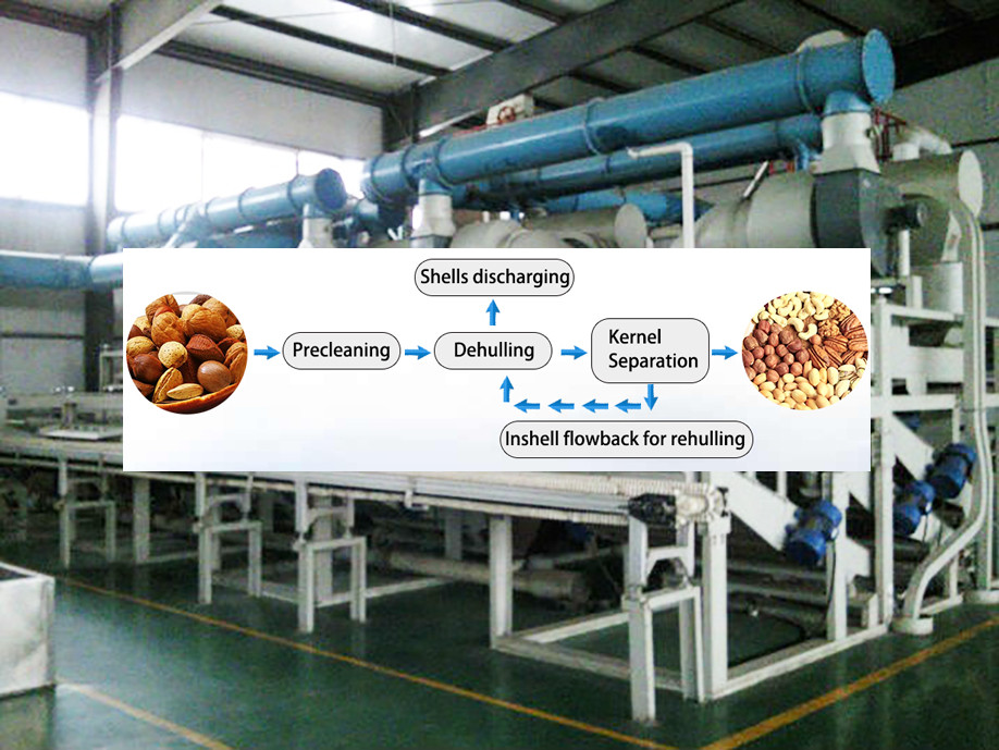 Stainless steel peanut peeling machine