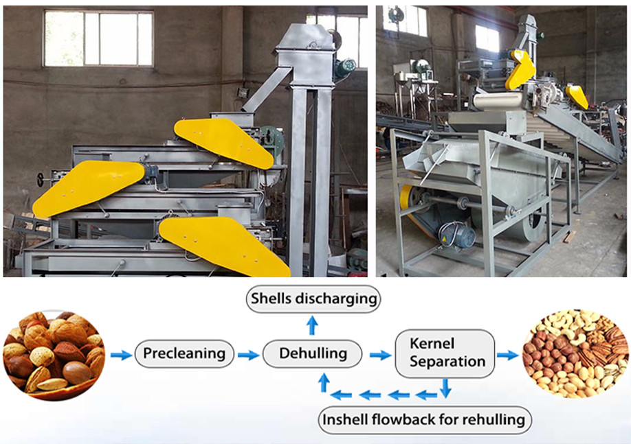 TOP QUALITY DTJ almond skin removing plant/almond peeling machine manufacture