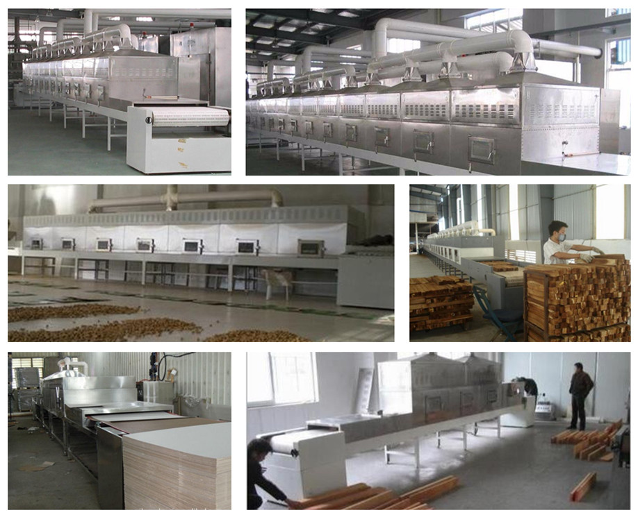 Hot selling in Thailand Scientific design and manufacturing microwave drying machine