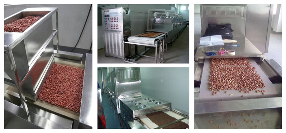 foxtail millet continuous belt microwave drying machine / food microwave tunnel dryer