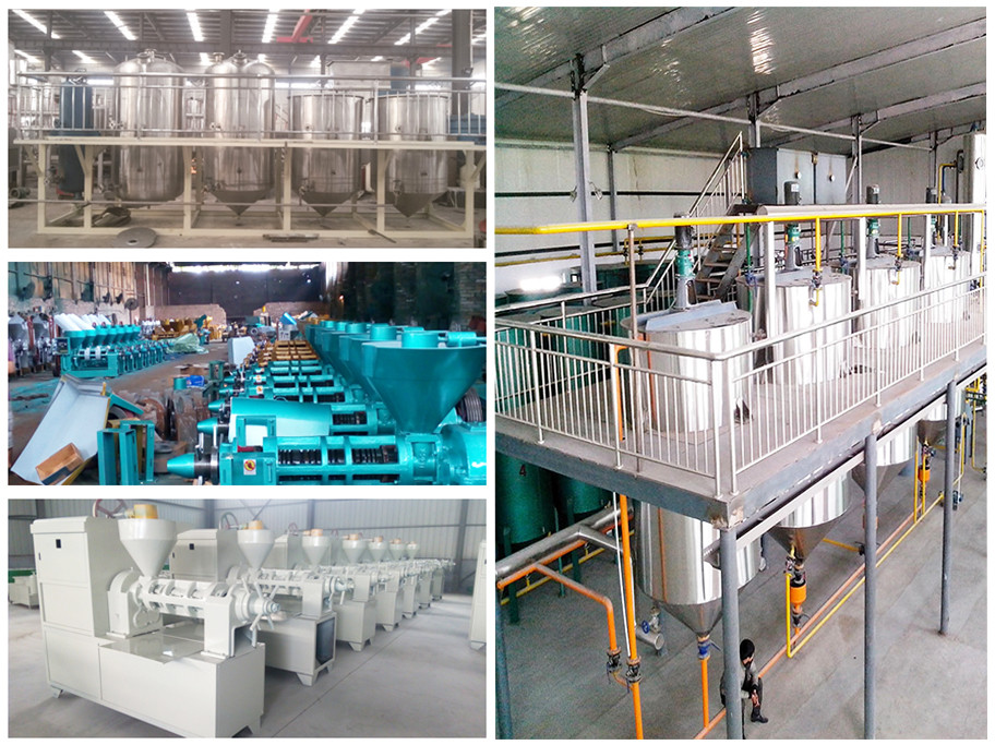 20 to 100 TPD South Africa oil press processing plant