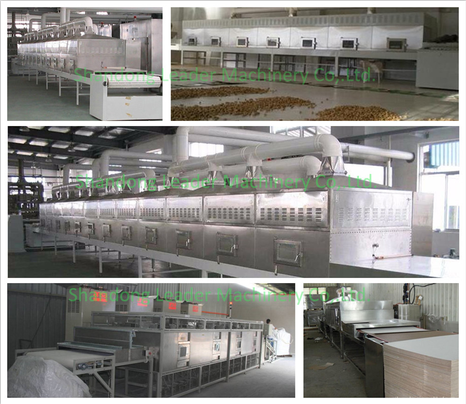 High efficient industrial spice/lemon/mango microwave batch dryer/drying machine