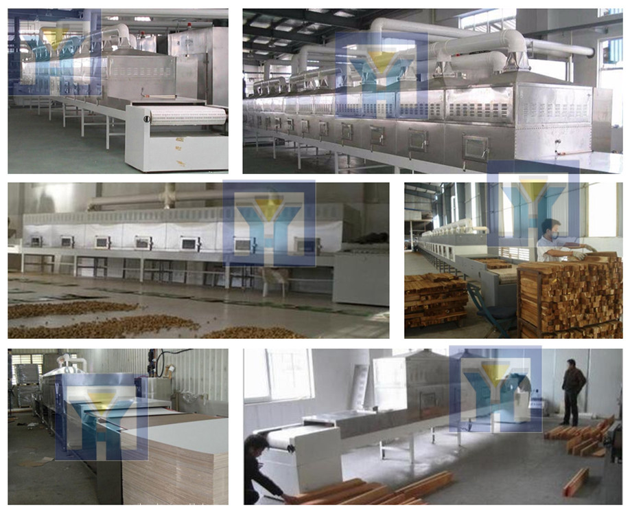 2017 China stainless steel belt microwave drying equipment manufacturer supply