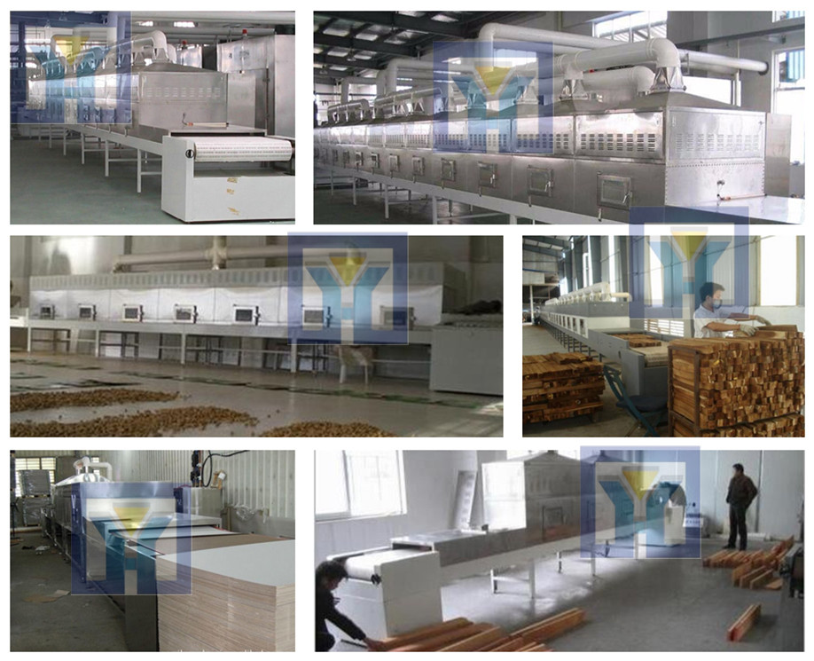 Chinese and western medicine potion microwave sterilization equipment