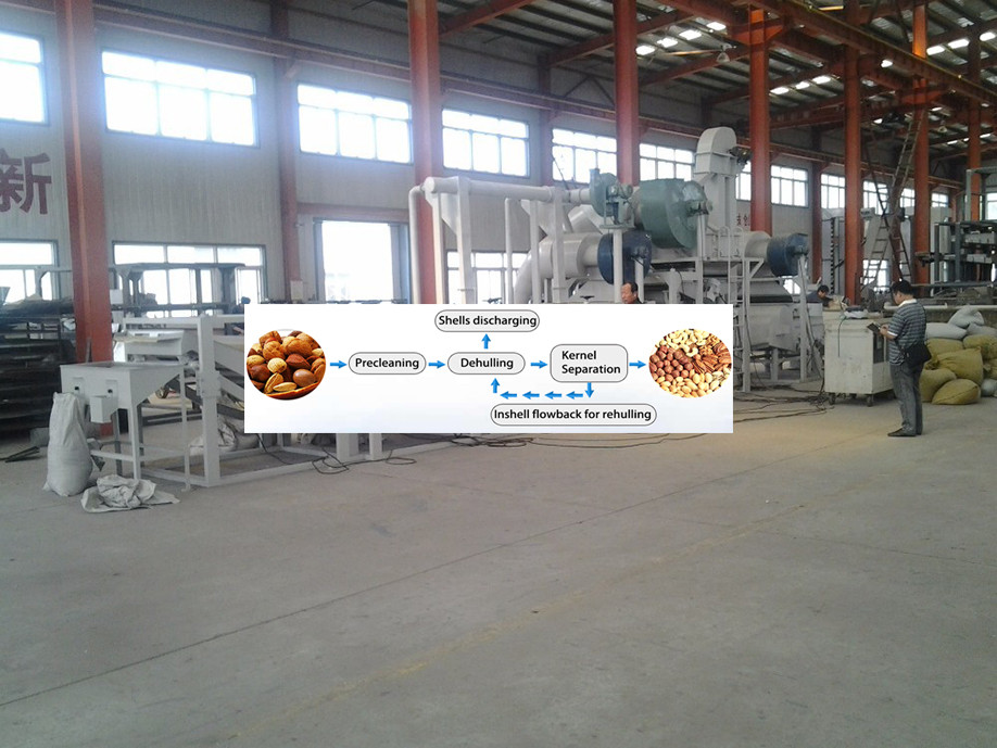 High quality Almond Peeler machine China