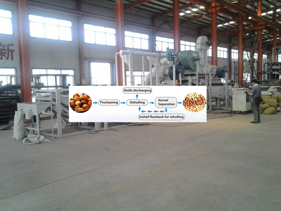 Groundnut peeling machine