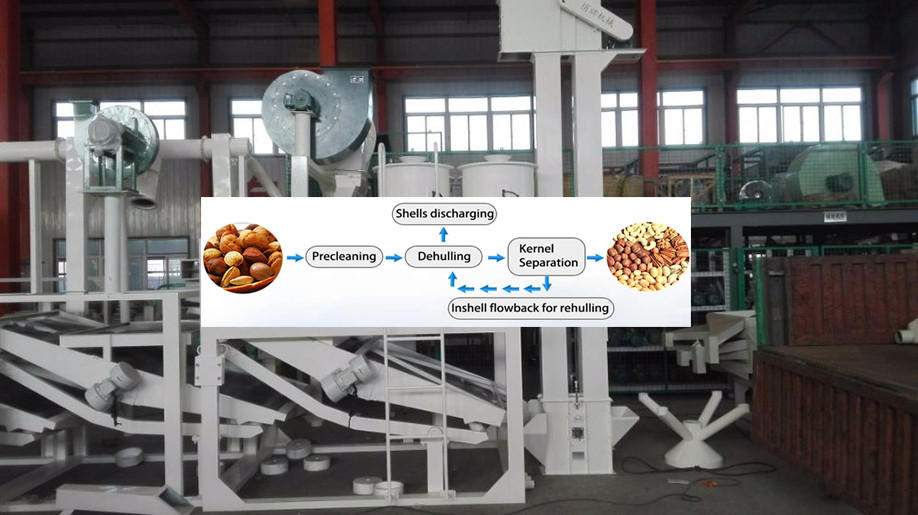 Roasted peanut blanching machine /blanched peanut peeling machine with CE