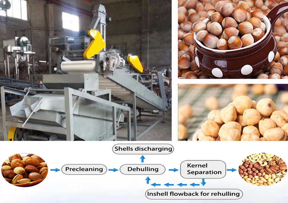 High quality Pignut Peeling machine Manufacturer with CE/ISO9001
