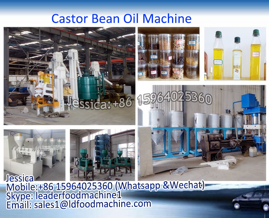 Export abroad profession producing experience oil press machine