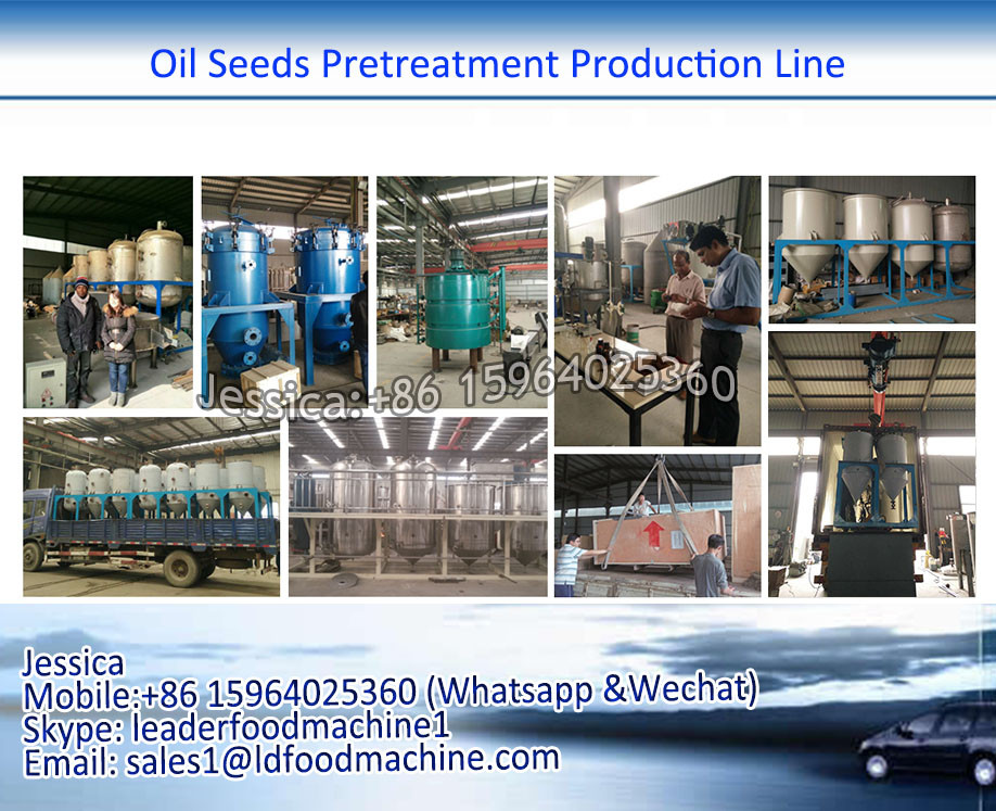 Excellent technical support super output french onion circle production line