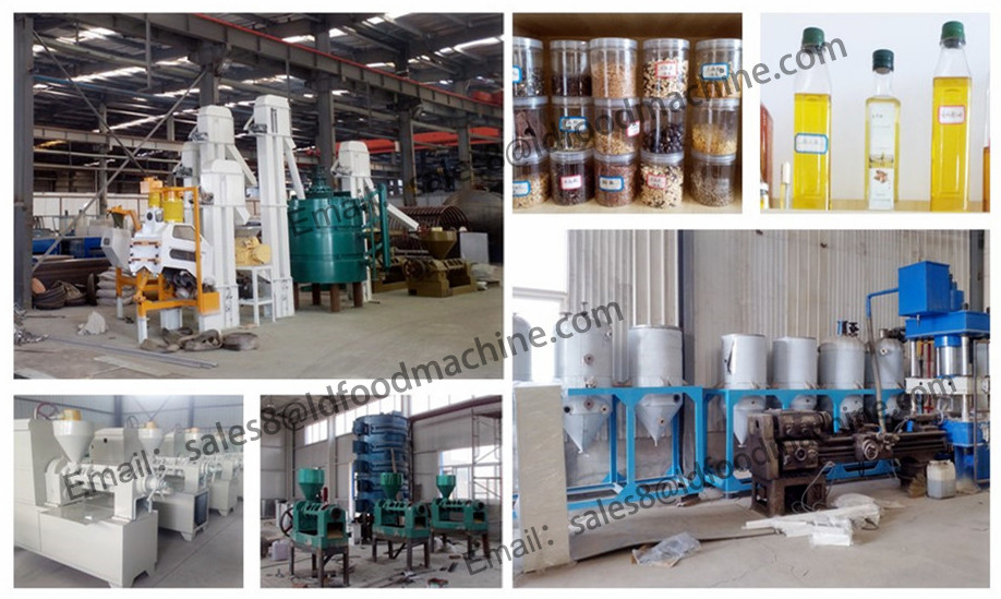 Small scale 10-30TPD edible oil extraction machine