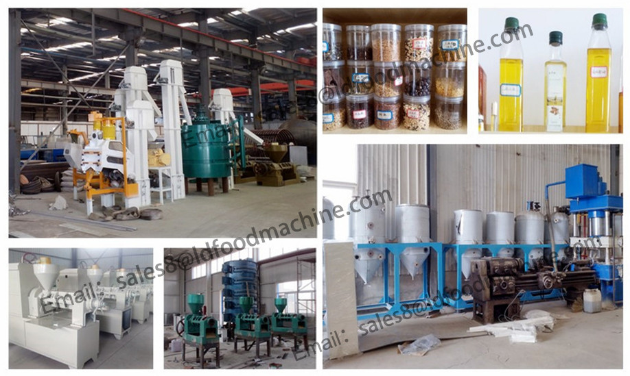 Good performance sunflower oil machine /edibel oil making machine