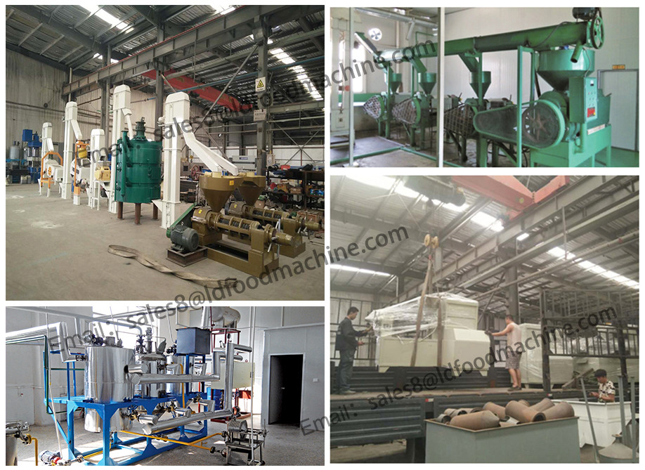 AS059 turn key sesame oil pretreatment machine plant