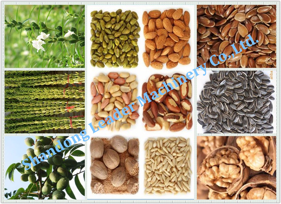 Simple to handle oil production line cold/hot pressing pine nuts oil extraction machinery Indonesia for sale with CE approved