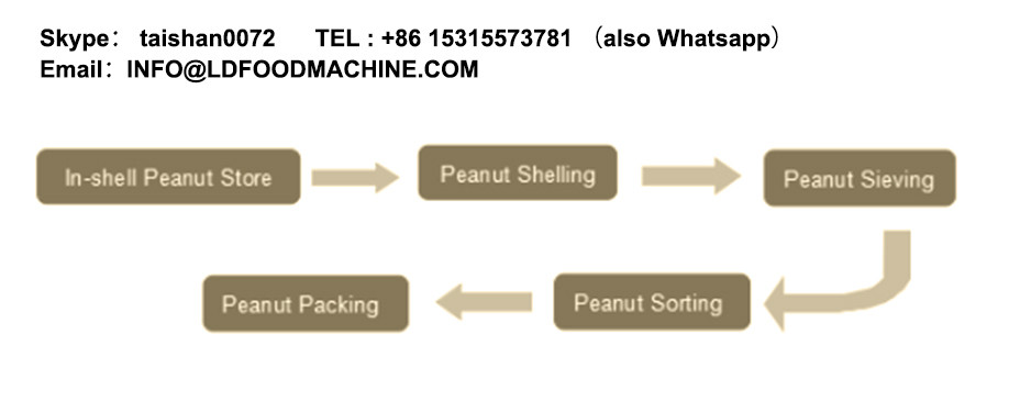 machinery to Shell the Almond/ Almond Peeler/Almond Shelling machinery