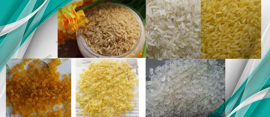 Nutritional Instant Rice MacLD machinery in yang 