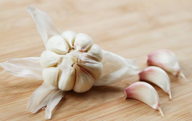 Garlic Microwave Dryer Machine