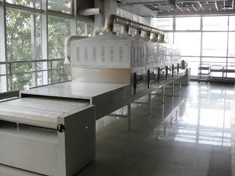Industrial Conveying Mesh Belt Microwave Drying Machine