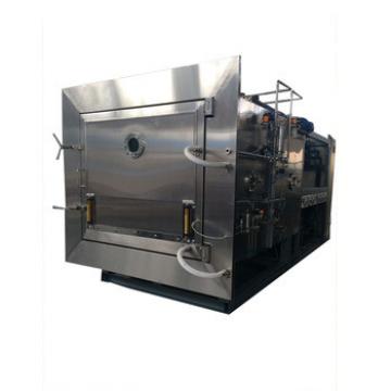 Mulit-Functin Custom 100kg/h Fresh Vacuum Food Freeze Dryer