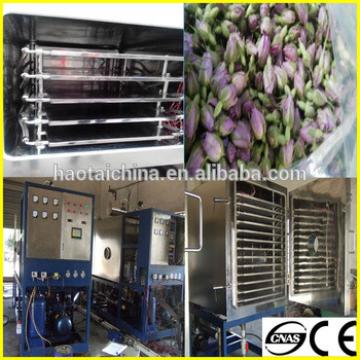 HOT SALE! newly designed energy saving fruit vegetable chilli garlic eggplant onion freeze drying machine