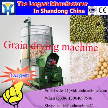 Popular microwave roasting machine/peanut processing machine SS304