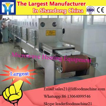 Microwave drying fruit and vegetable powder sterilizer