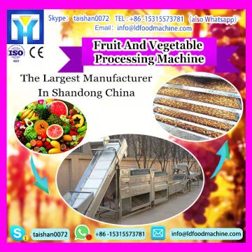 High efficient vegetable cleaning processing line|seashell polishing machinery