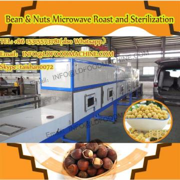 Pine nuts microwave drying sterilization equipment