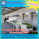 Automatic Continuous Stainless Steel Microwave Dryer