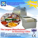 Microwave dryer equipment for drying fruits and vegetables with large capacity