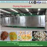 belt LLDe Continuous Industrial Fruit Dryers