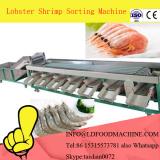 China Shrimp Grading machinery Shrimp Grader