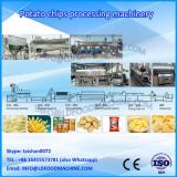 fried chips equipment plant