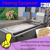 Stainless Steel 304 Automatic Vegetable and Fruit Washing machinery